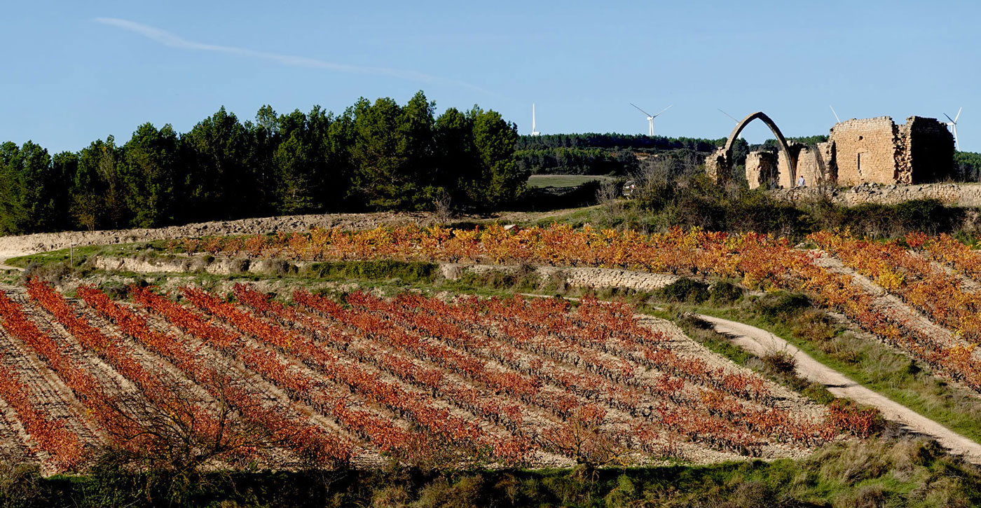 Monastère San Juan de los Ramos