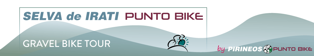 Logo Selva-de-Irati-Punto-Bike-gravel