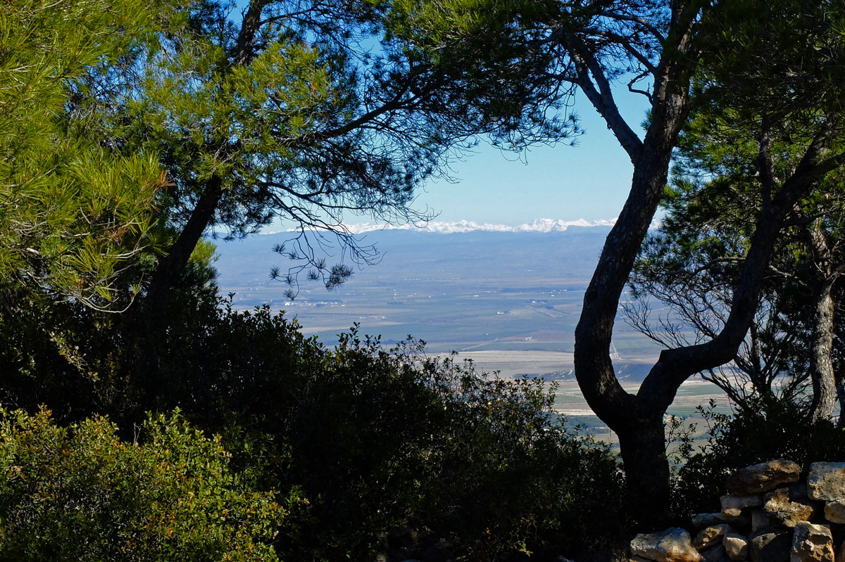 Bardena-Negra-panorama-Pirineos