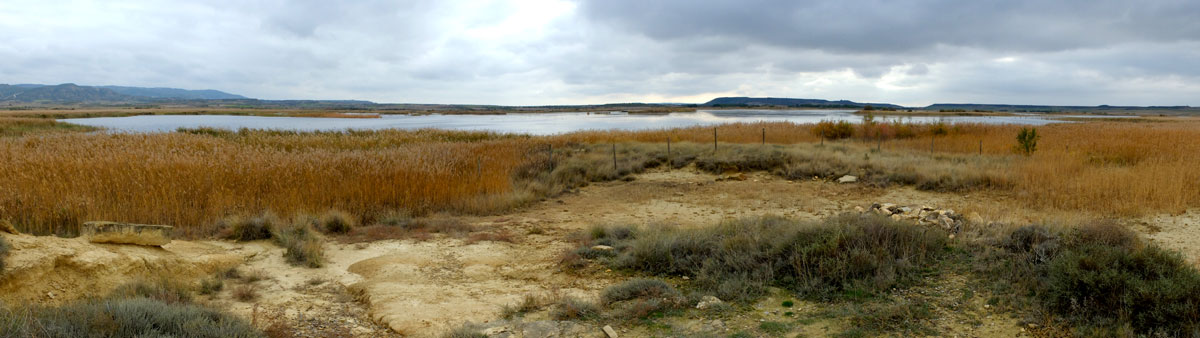 Laguna-Pitillas