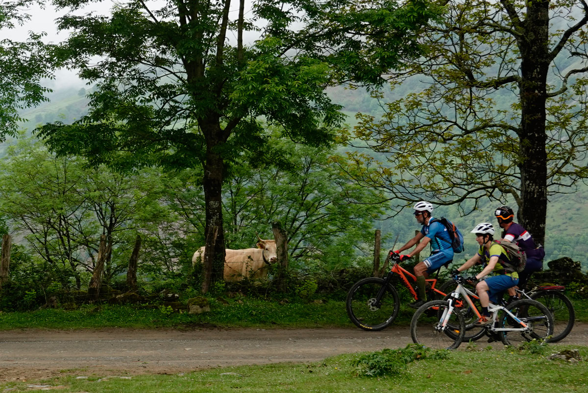 Vaca & Bikers