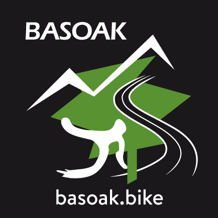 logo Basoak