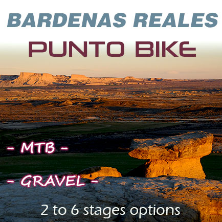 thumb-Bardenas-reales-Punto-Bike