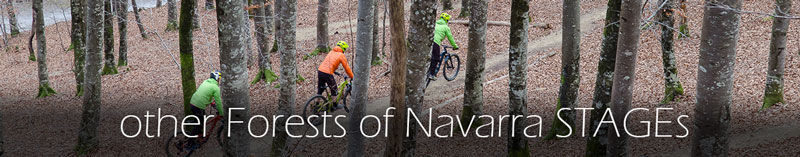more-Forest-of-Navarra-packs