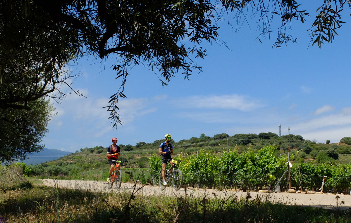 Ciclistas en La Rioja Bike Race 2021