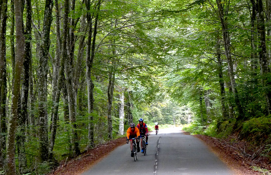 Cycling-in-the-Montaña-Alavesa