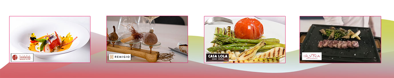 Combi-gastronomia-tudela
