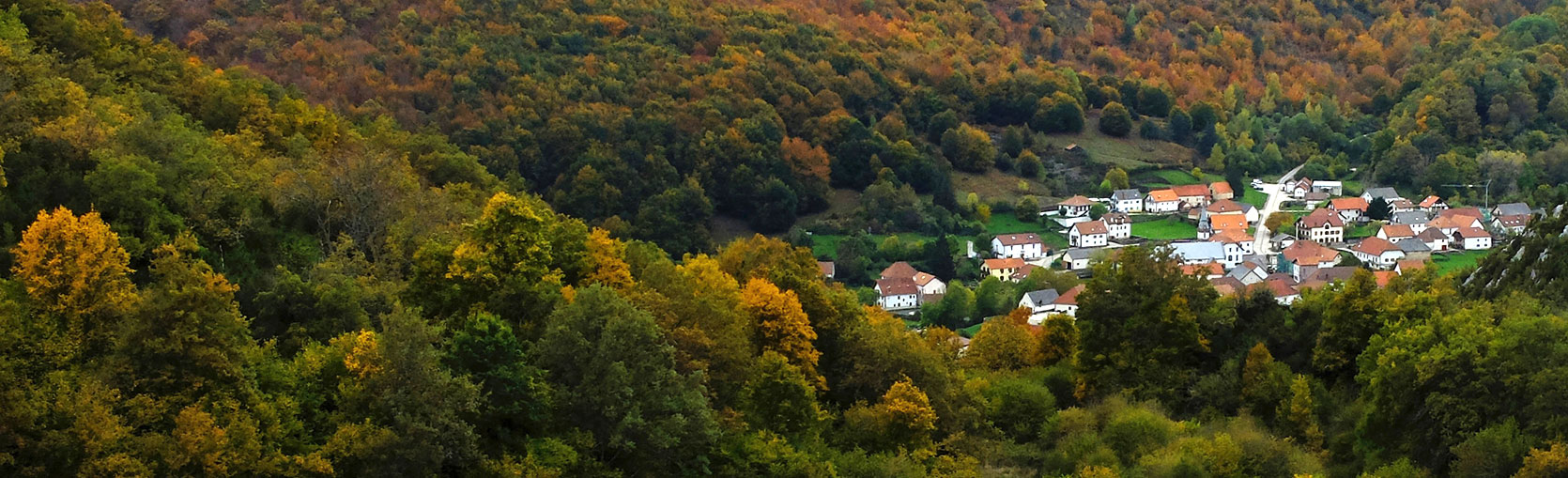 Garralda en mitad del bosque